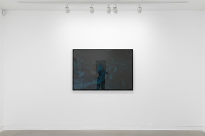 Andy Warhol F.S. II 249
