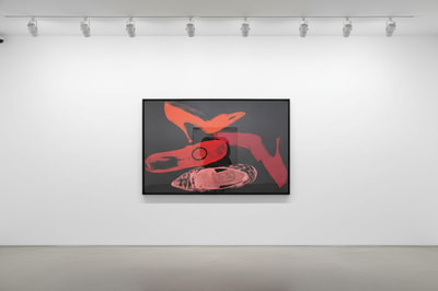 Andy Warhol F.S. II 253