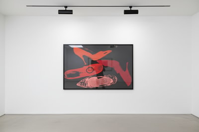 Andy Warhol F.S. II 256
