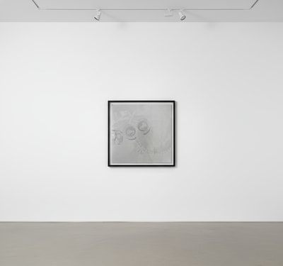 Andy Warhol F.S. II 33