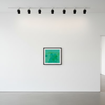 Andy Warhol F.S. II 37