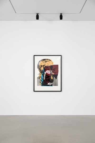 Andy Warhol F.S. II 133