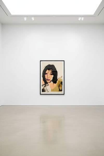 Andy Warhol F.S. II 141
