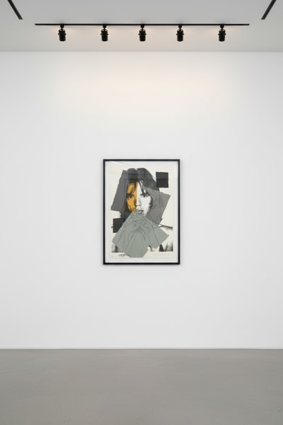 Andy Warhol F.S. II 147