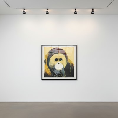 Andy Warhol F.S. II 299