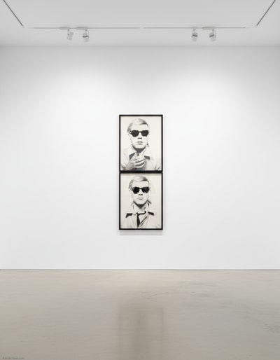 Andy Warhol - Self - Portrait F.S. IIIA 10, 1978