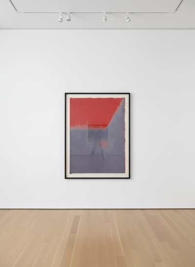 Andy Warhol F.S. II 208