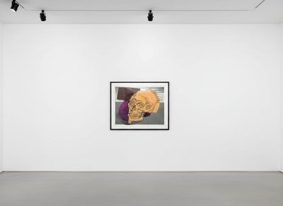 Andy Warhol F.S. II 157