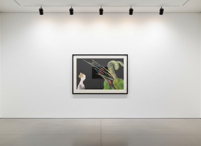 Andy Warhol F.S. II 324