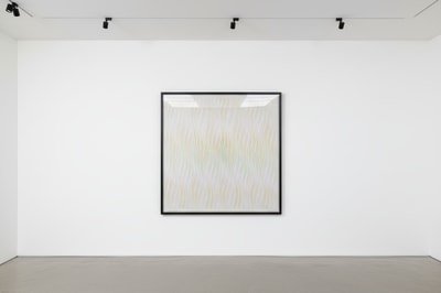 Bridget Riley - Rose, 1978