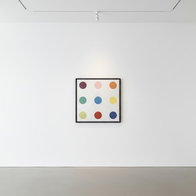 Damien Hirst - Biphenyl C, 1995