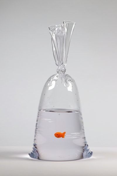 Dylan Martinez - Limited Edition Goldfish Cracker Water Bag (202), 2023