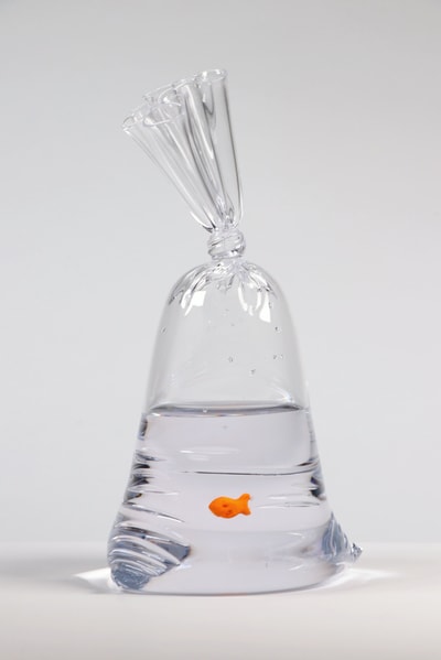 Dylan Martinez - Limited Edition Goldfish Cracker Water Bag (205), 2023