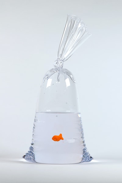 Limited Edition Goldfish Cracker Water Bag (225)