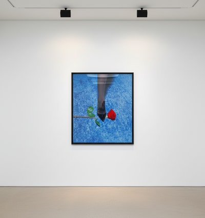 Tyler Shields - Red Rose, 2024