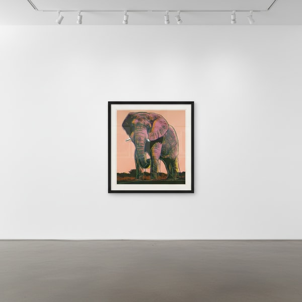 Andy Warhol - African Elephant F.S. II 293, 1983, Screen print on Lenox Museum Board