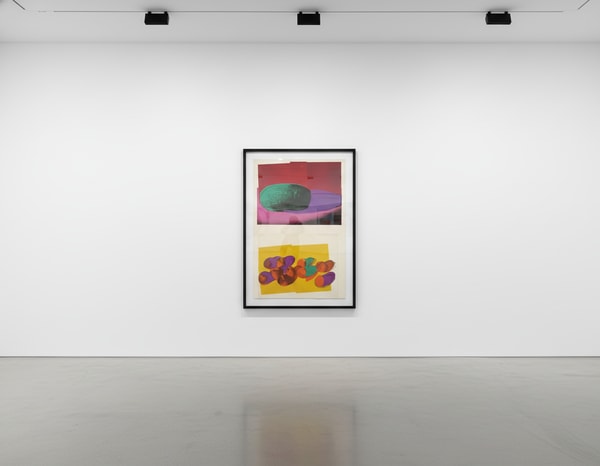 Andy Warhol - Cantaloupes I F.S. II 201 , Watermelon F.S. II 199 , Apples F.S. II 200 , Peaches F.S. II 202 , from Space F...