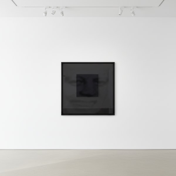 Andy Warhol - Flash - November 22 , 1963 F.S. II 32, 1968, Screen print and Teletype text on paper