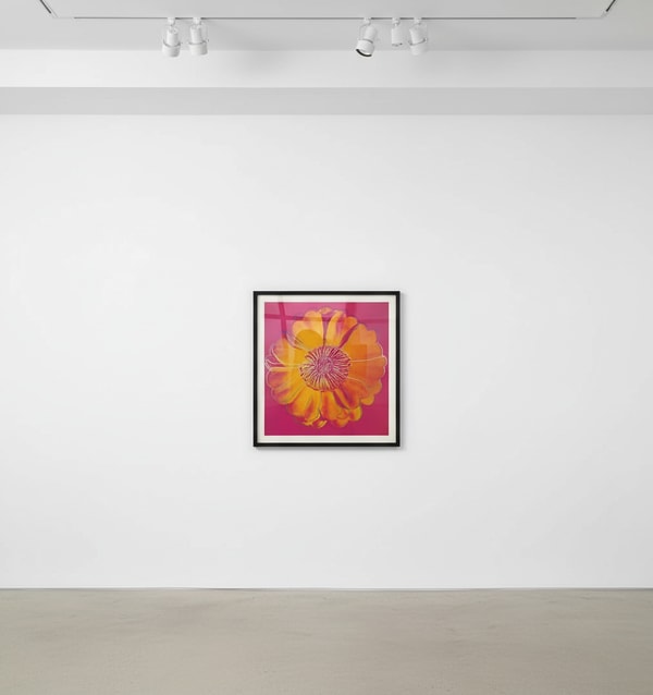 Andy Warhol - Flower For Tacoma Dome F.S. IIIA 37, 1982, Screen Print on Lenox Museum Board