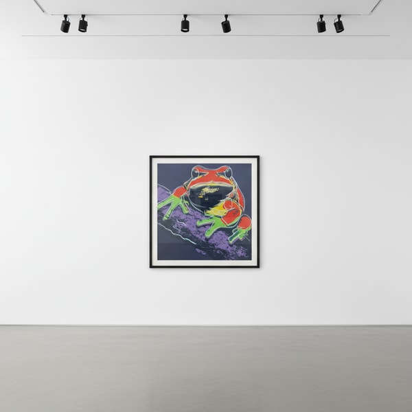 Andy Warhol - Pine Barrens Tree Frog F.S. II 294, 1983, Screen print on Lenox Museum Board