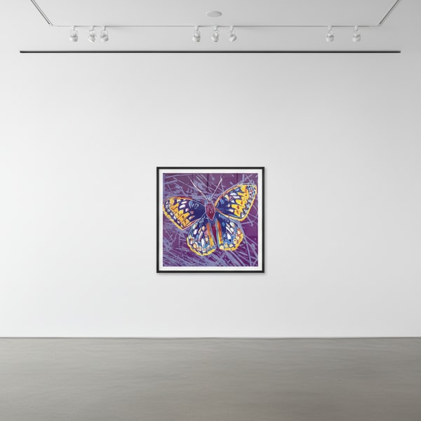 Andy Warhol - San Francisco Silverspot Butterfly F.S. II 298, 1983, Screen print on Lenox Museum Board