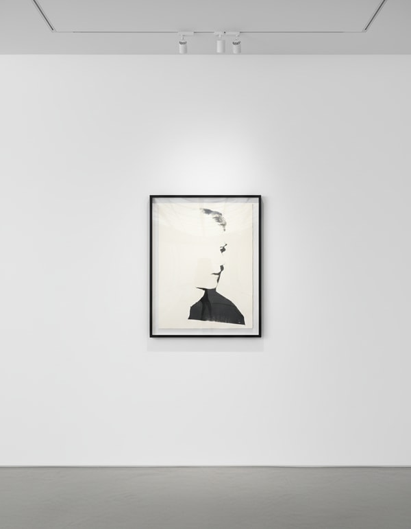 Andy Warhol - Self Portrait F.S. IIIC 25, 1977, Screen print on Curtis Rag paper