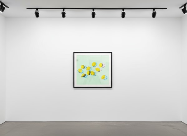 Andy Warhol - Space Fruit: Lemons F.S. II 196, 1978, Screen print on Lenox Museum Board
