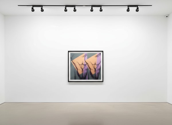 Andy Warhol - Torso (Double) F.S. IIIA 35, 1982, Screen Print on Saunders Waterford (Hot Pressed) Paper