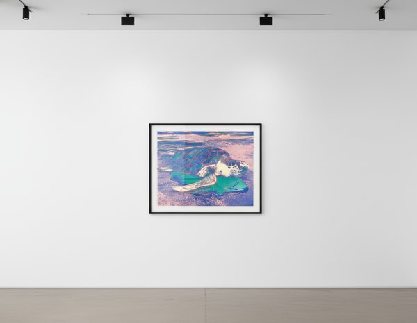 Andy Warhol - Turtle F.S. II 360A, 1985, Screen print on Lenox Museum Board