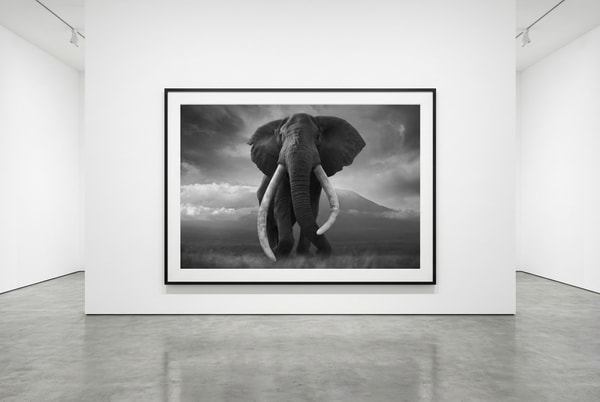 Björn persson - Invictus, Pigment Print