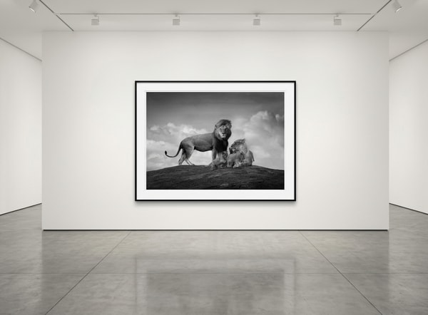 Björn persson - Living Souls, Pigment Print