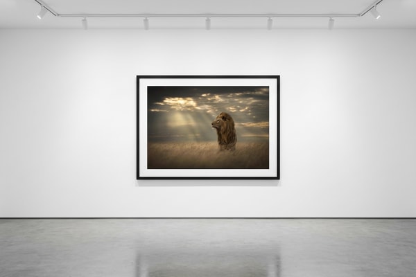 Björn persson - Lord of the Land, Pigment Print