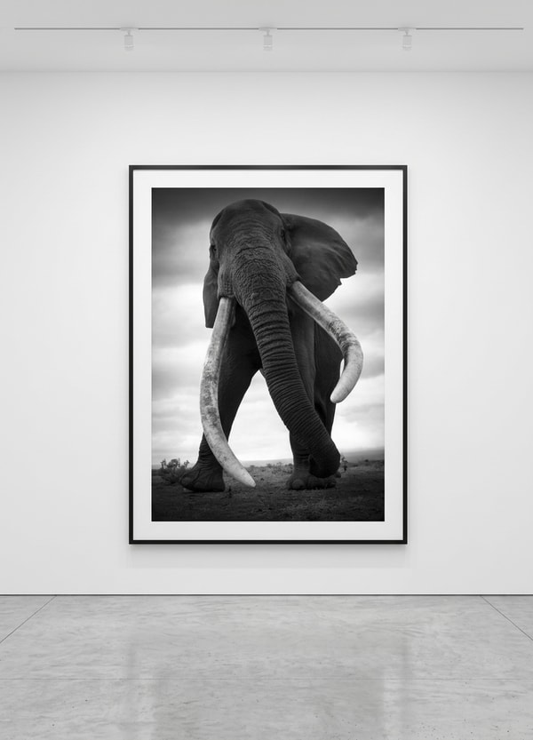 Björn persson - The Last Tuckers, Pigment Print