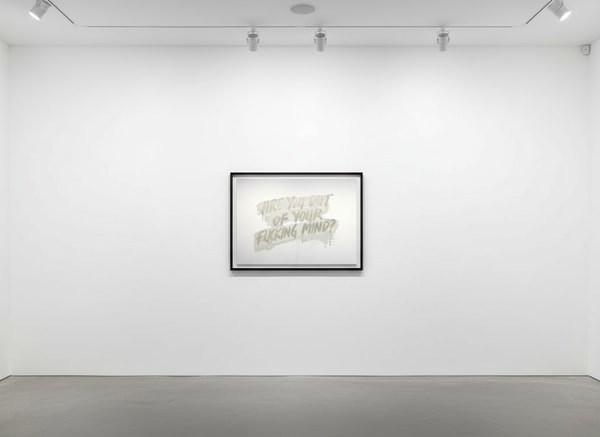 Mel Bochner - Are You Out Of Your Fucking Mind?, 2018, Laser engraving and hand-applied silver nitrate on laminated glass
...