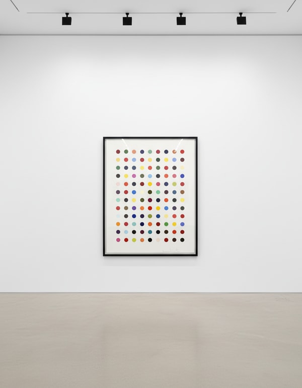 Damien Hirst - Flumequine, 2007, Etching