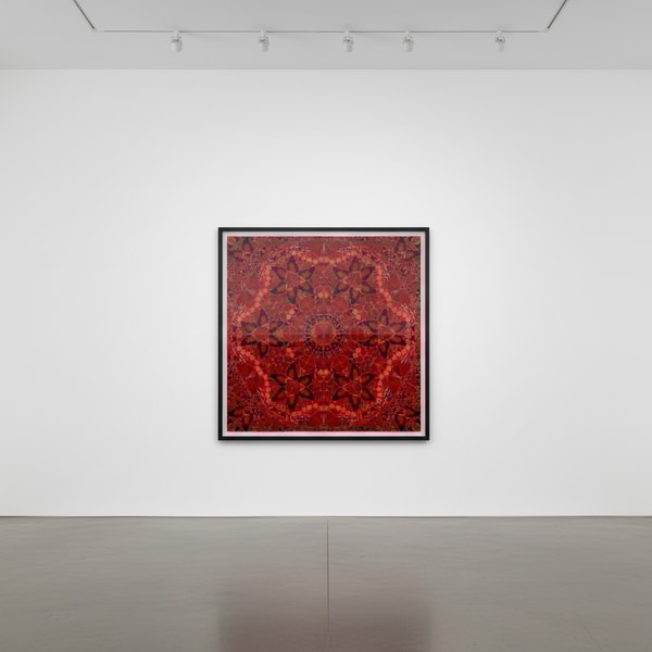 Damien Hirst - H10-1 Wu Zetian (The Empresses), 2022, Laminated Giclée print on aluminium composite, screen printed with g...