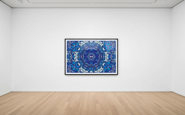 Damien Hirst - H18-2 Chameleon, 2024, Diasec mounted Giclée on aluminium
Signed and numbered