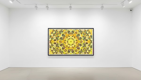 Damien Hirst - H18-4 Splendour, 2024, Diasec mounted Giclée on aluminium
Signed and numbered