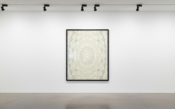 Damien Hirst - H18-5 Intricacy, 2024, Diasec mounted Giclée on aluminium
Signed and numbered