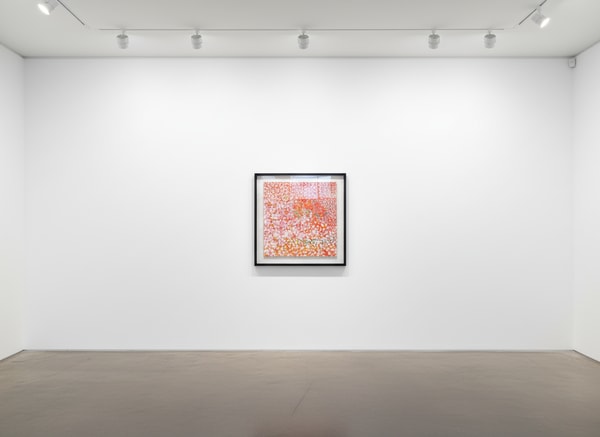 Damien Hirst - H4-1 Sans Souci, 2018, Diasec-mounted Giclée print on aluminium panel