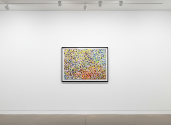 Damien Hirst - H4-4 Cannizaro, 2018, Diasec-mounted Giclée print on aluminium panel