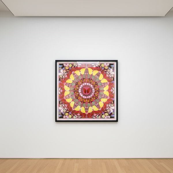 Damien Hirst - Psalm: Judica, Domino, 2016, Silkscreen