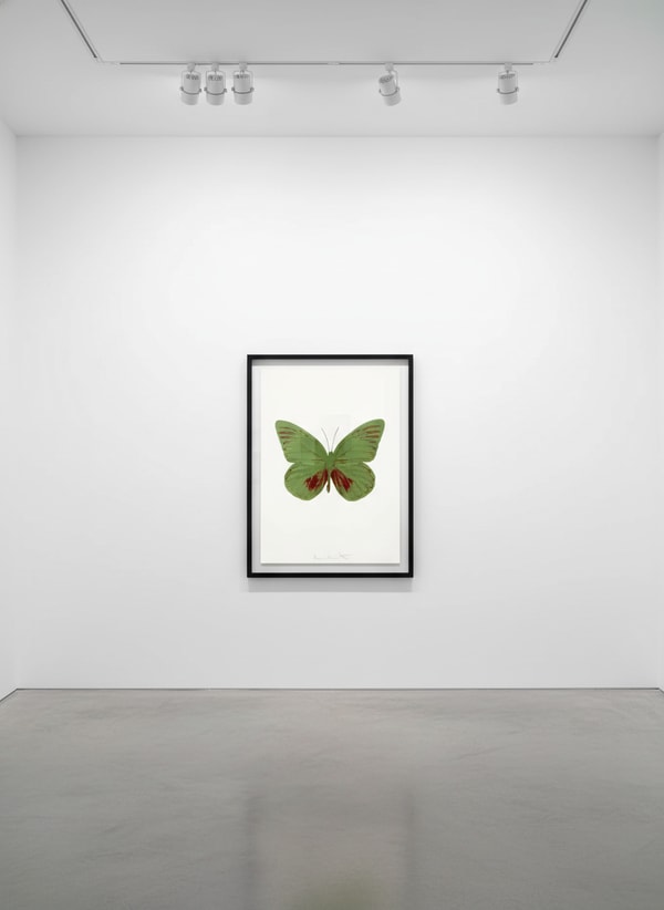 Damien Hirst - Souls I (Leaf Green , Chili Red), Two color foil block print