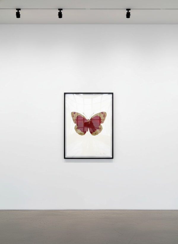 Damien Hirst - Souls II (Chili Red / Cool Gold), 2010, Two color foil block print
