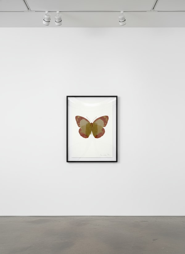 Damien Hirst - Souls II (Oriental Gold - Prairie Copper - Cool Gold), 2010, Two color foil block print