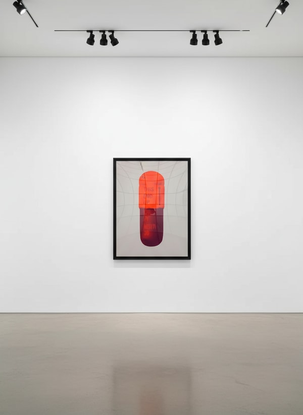 Damien Hirst - The Cure (Battleship Grey/Fizzy Orange/Berry), 2014, Silkscreen on Somerset Tub Sized 410gsm