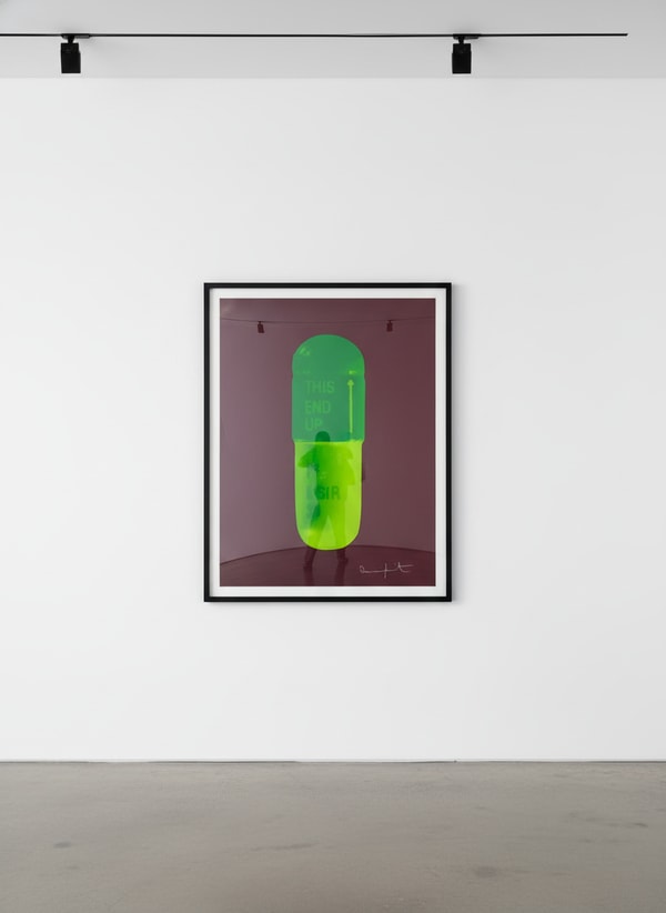 Damien Hirst - The Cure (Chocolate/Emerald Green/Lime Green), 2014, Silkscreen on Somerset Tub Sized 410gsm