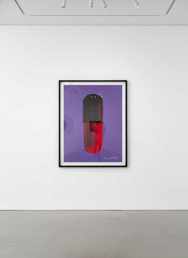 Damien Hirst - The Cure (Papal Purple/Burgundy/Blood Orange), 2014, Silkscreen on Somerset Tub Sized 410gsm