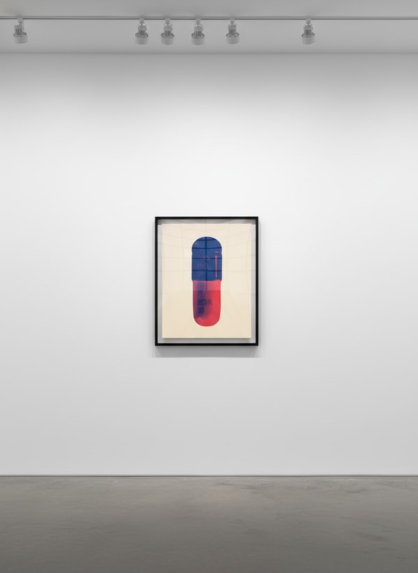 Damien Hirst - The Cure (Peach Cream/Ultramarine/Lust), 2014, Silkscreen on Somerset Tub Sized 410gsm