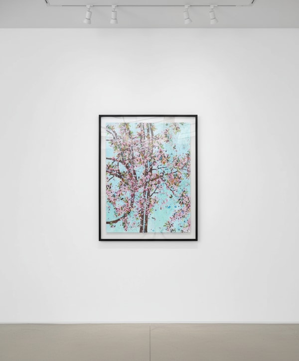 Damien Hirst - The Virtues Courage H9-2, 2021, Laminated Giclée print on aluminium composite panel